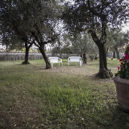 La Casa Tra Gli Ulivi Apartman *